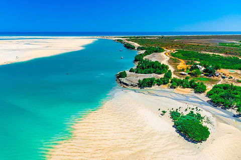 Willie Creek Pearl Farm Tour From Broome - Queensland Tourism 0