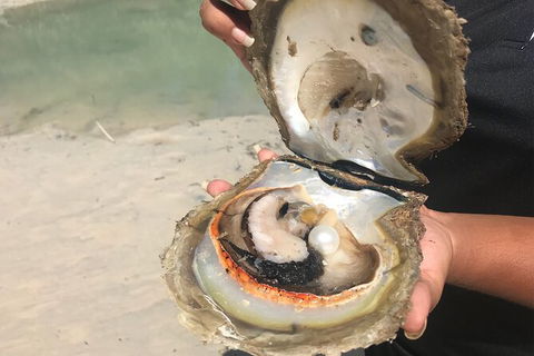 Willie Creek Pearl Farm Tour From Broome - Queensland Tourism 6