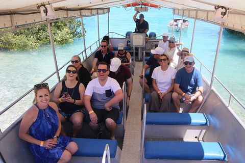 Willie Creek Pearl Farm Tour From Broome - Queensland Tourism 3