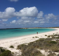 Abrolhos Island Half Day Fly and Flipper - QLD Tourism