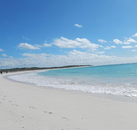 Shipwreck Special Nature Tour/Half Day Tour - QLD Tourism