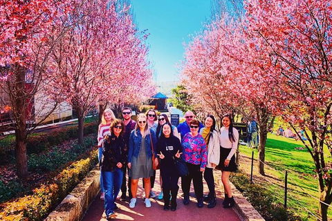 Small-Group Bickley Valley Wine Tour - Queensland Tourism 10