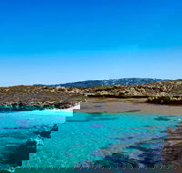 Rottnest Island Roundtrip Fast Ferry from Hillarys Boat Harbour - Queensland Tourism