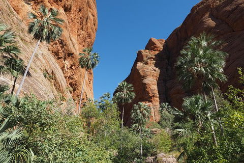 13-Day Kimberley Walking Tour Including Spectacular Gorges The Gibb River Road And The Bungle Bungles - Queensland Tourism 6