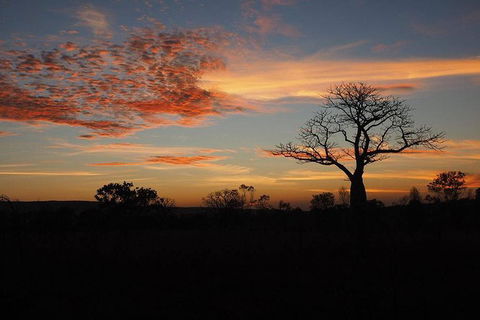 13-Day Kimberley Walking Tour Including Spectacular Gorges The Gibb River Road And The Bungle Bungles - Queensland Tourism 4