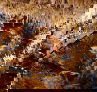 Jewel Cave Fully-guided Tour - Queensland Tourism