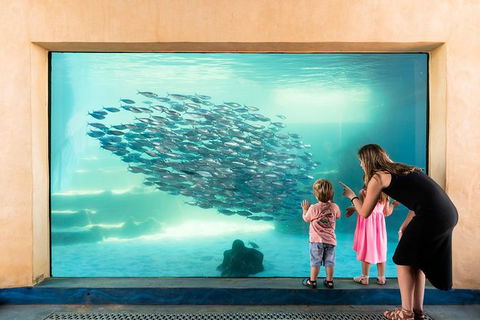 AQWA The Aquarium Of Western Australia: General Admission - QLD Tourism 0