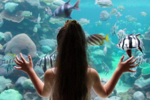 AQWA The Aquarium Of Western Australia: General Admission - QLD Tourism 1