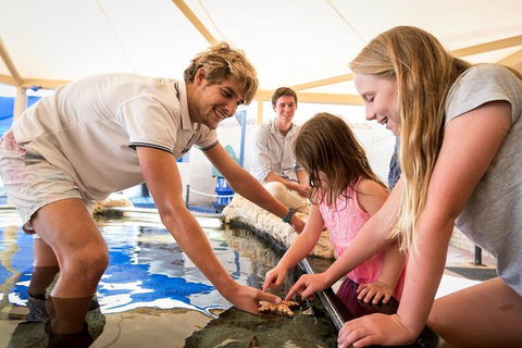 AQWA The Aquarium Of Western Australia: General Admission - QLD Tourism 5