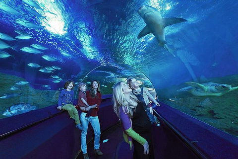 AQWA The Aquarium Of Western Australia: General Admission - QLD Tourism 14