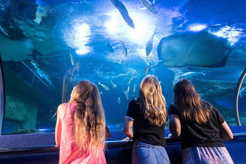 AQWA The Aquarium Of Western Australia: General Admission - QLD Tourism 7