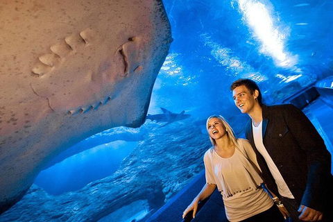 AQWA The Aquarium Of Western Australia: General Admission - QLD Tourism 6