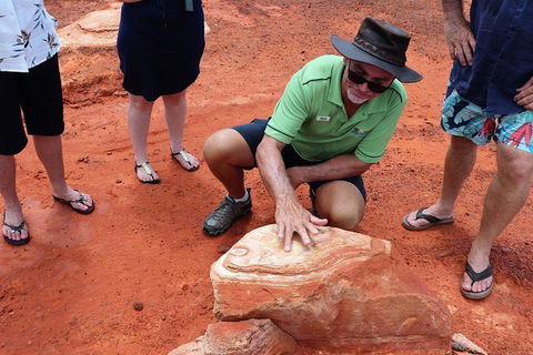 Broome Panoramic Town Tour - All The Extraordinary Sights And History Of Broome - Queensland Tourism 10