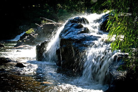 Margaret River Wine Adventure - The Tour For People Who Don\'t Do Tours! - QLD Tourism 17