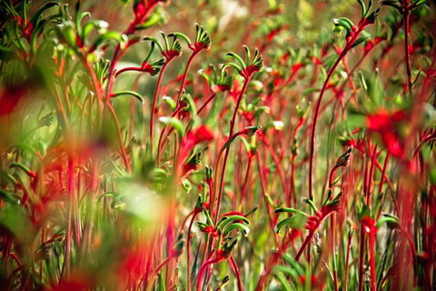 Margaret River Wine Adventure - The Tour For People Who Don\'t Do Tours! - QLD Tourism 28