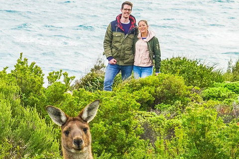 Margaret River Wine Adventure - The Tour For People Who Don\'t Do Tours! - QLD Tourism 3