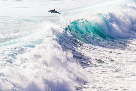 Margaret River Wine Adventure - The Tour For People Who Don\'t Do Tours! - QLD Tourism 29