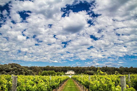 Margaret River Wine Adventure - The Tour For People Who Don\'t Do Tours! - QLD Tourism 14