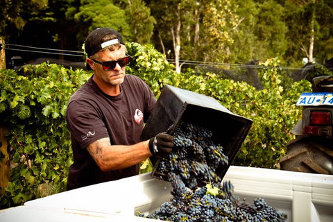 Margaret River Wine Adventure - The Tour For People Who Don\'t Do Tours! - QLD Tourism 26