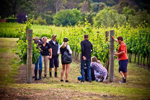 Margaret River Wine Adventure - The Tour For People Who Don\'t Do Tours! - QLD Tourism 27