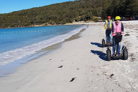 Albany Summit To Sea Adventure - Guided Segway Tour - QLD Tourism 3
