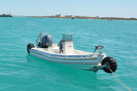 Half-Day Whale Watching Sunset Cruise From Broome - QLD Tourism 4
