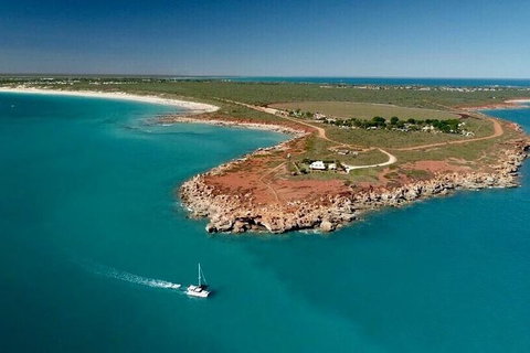 Half-Day Whale Watching Sunset Cruise From Broome - QLD Tourism 10