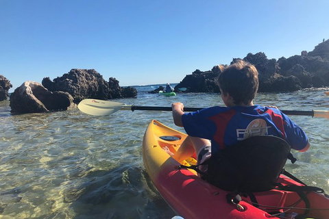 Penguin Island And Fremantle - Canoe, Chocolate & Coffee - Queensland Tourism 0