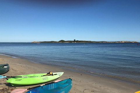 Penguin Island And Fremantle - Canoe, Chocolate & Coffee - Queensland Tourism 4