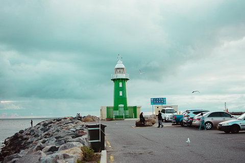 Penguin Island And Fremantle - Canoe, Chocolate & Coffee - Queensland Tourism 6