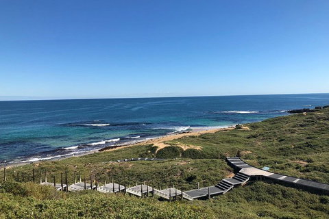 Penguin Island And Fremantle - Canoe, Chocolate & Coffee - Queensland Tourism 3