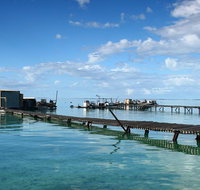 Full Day Guided Abrolhos Fly and Flipper Tour from Geraldton - QLD Tourism