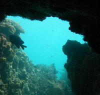 Half-Day Abrolhos Islands Shipwreck Air and Land Tour from Geraldton - QLD Tourism