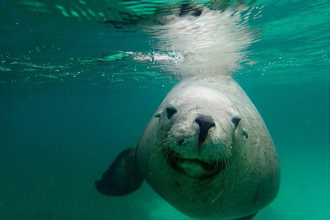 SAILING CHARTER TO CARNAC ISLAND - QLD Tourism 1