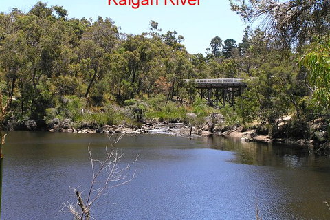 Kalgan Queen Scenic Cruises A Four Hour Sheltered Water Wildlife Tour Daily Fun. - QLD Tourism 3