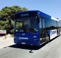 Rottnest Island Bayseeker Day Trip from Perth with Transfer - QLD Tourism