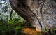 Porongurup Nature & History Eco Tour - thumb 0