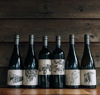 Private Tastings / Wine  Cheese Pairing - QLD Tourism