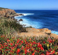 Cape to Cape End-to-End 8 Day Walking Experience - QLD Tourism