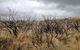 Private Tour: Great Ocean Road From Melbourne - thumb 5