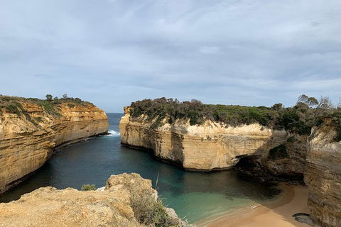 Private Tour: Great Ocean Road From Melbourne - QLD Tourism 14