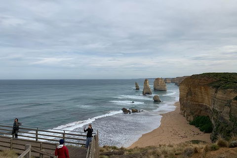 Private Tour: Great Ocean Road From Melbourne - QLD Tourism 16