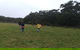 Private Tour: Great Ocean Road From Melbourne - thumb 17