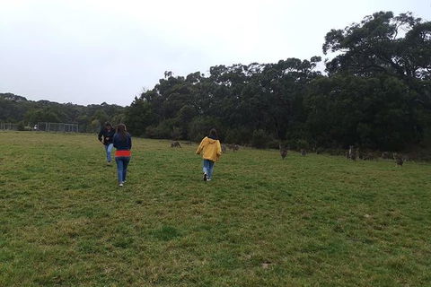 Private Tour: Great Ocean Road From Melbourne - QLD Tourism 17