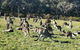 Private Tour: Great Ocean Road From Melbourne - thumb 20
