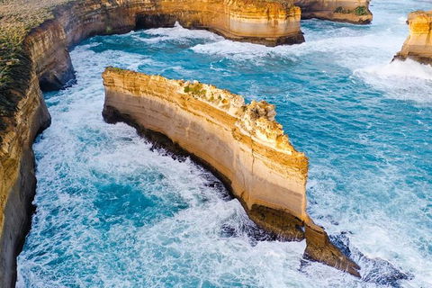 Small-Group Great Ocean Road Day Trip From Melbourne - QLD Tourism 1