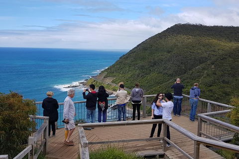 2 Day Great Ocean Road Tour From Melbourne - QLD Tourism 16