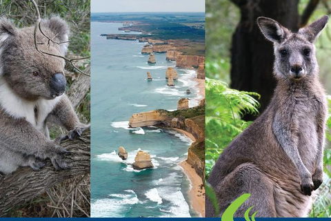 2 Day Great Ocean Road Tour From Melbourne - QLD Tourism 15