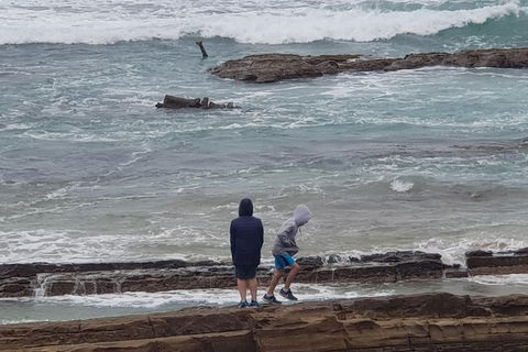 2 Day Great Ocean Road Tour From Melbourne - QLD Tourism 4