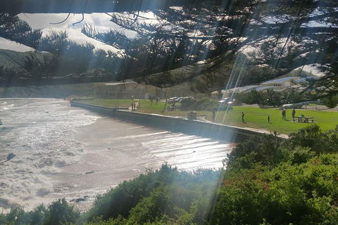2 Day Great Ocean Road Tour From Melbourne - QLD Tourism 20